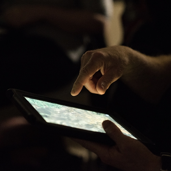 The Arts Council Collection : Discover the Collection