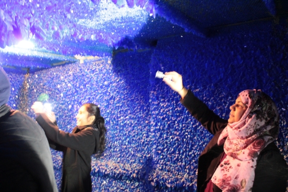 The Arts Council Collection : All Aboard for Family Learning